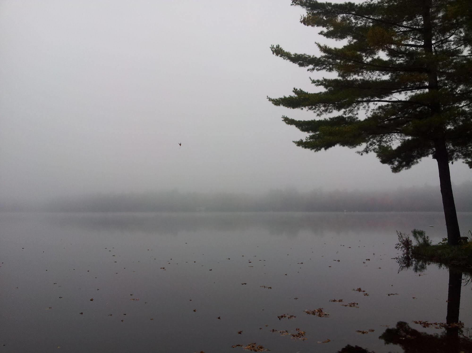 Black Lake Cabins Torrance 外观 照片